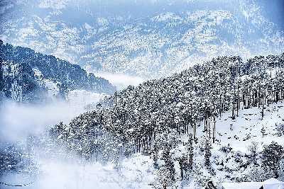 Patnitop